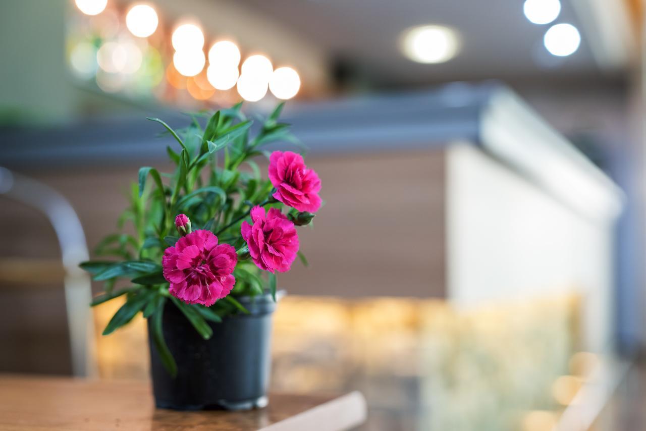 Devin Spa Hotel Kültér fotó